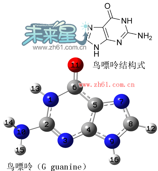 鸟嘌呤（G guanine）分子结构图