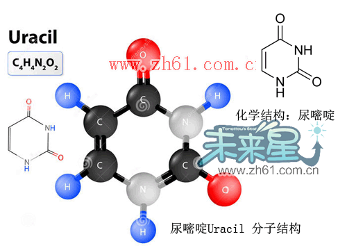 Uracil 分子结构